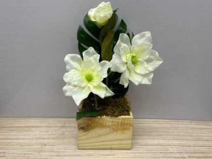 MAGNOLIA VASO NATURAL