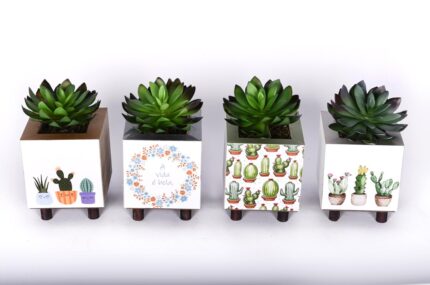 SUCULENTA VASO DECOR M TOP