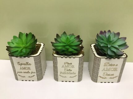 SUCULENTA VASO 10X10 RED.